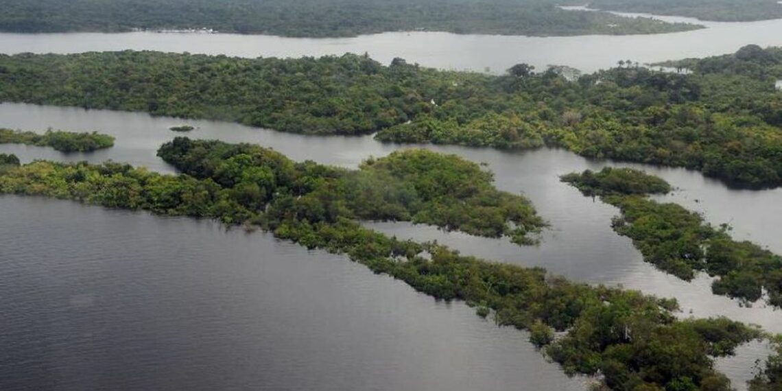 Amazônia - Foto - Valter Campanato - Agência Brasil