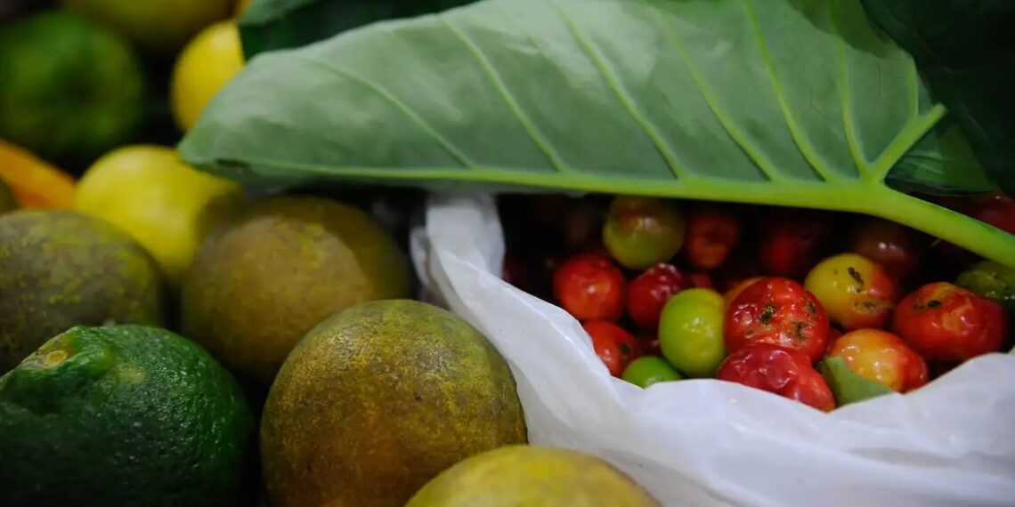 Alimentos - Foto - Fernando Frazão - Agência Brasil