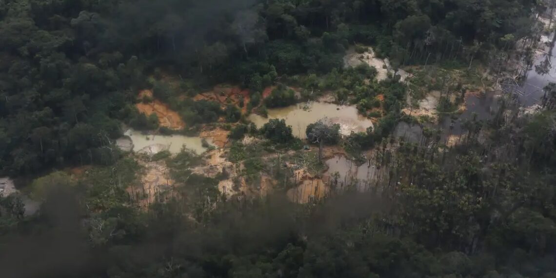 Amazônia - Foto - Fernando Frazão - Agência Brasil