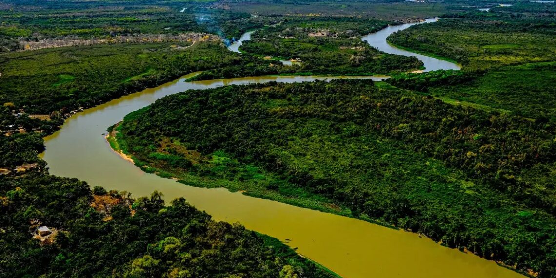 Pantanal - Foto - Mayke Toscano - Secom-MT