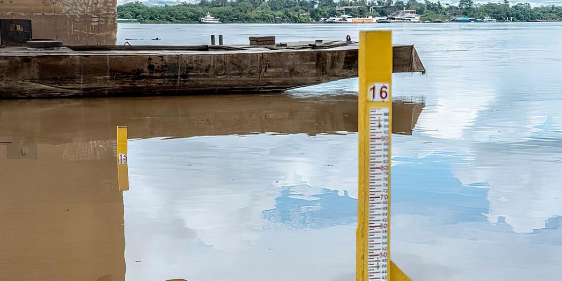 Foto: Defesa Civil / Porto Velho