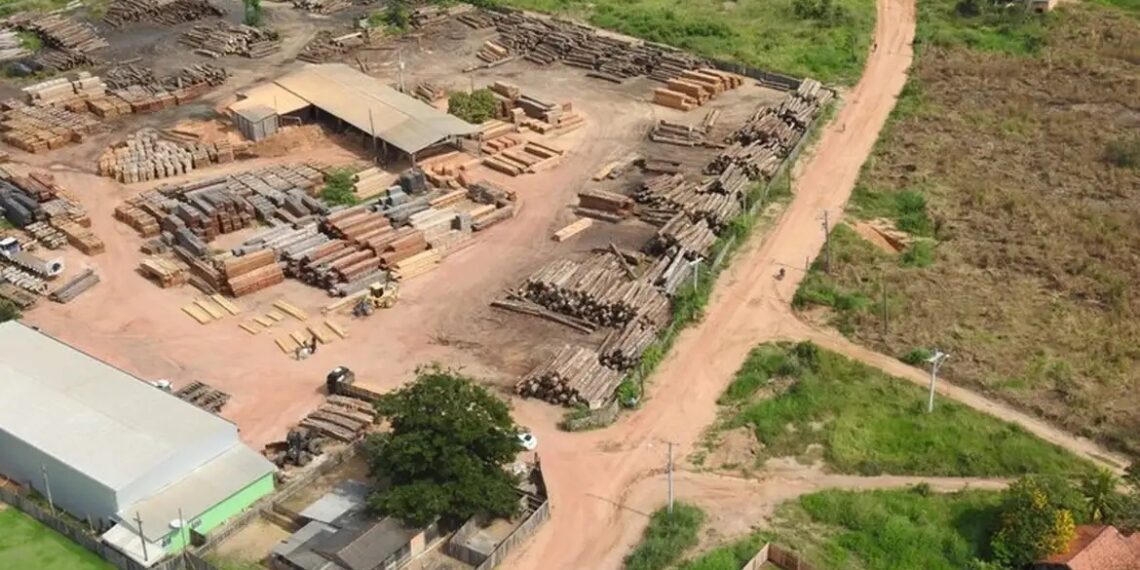 Foto: Polícia Federal / Divulgação