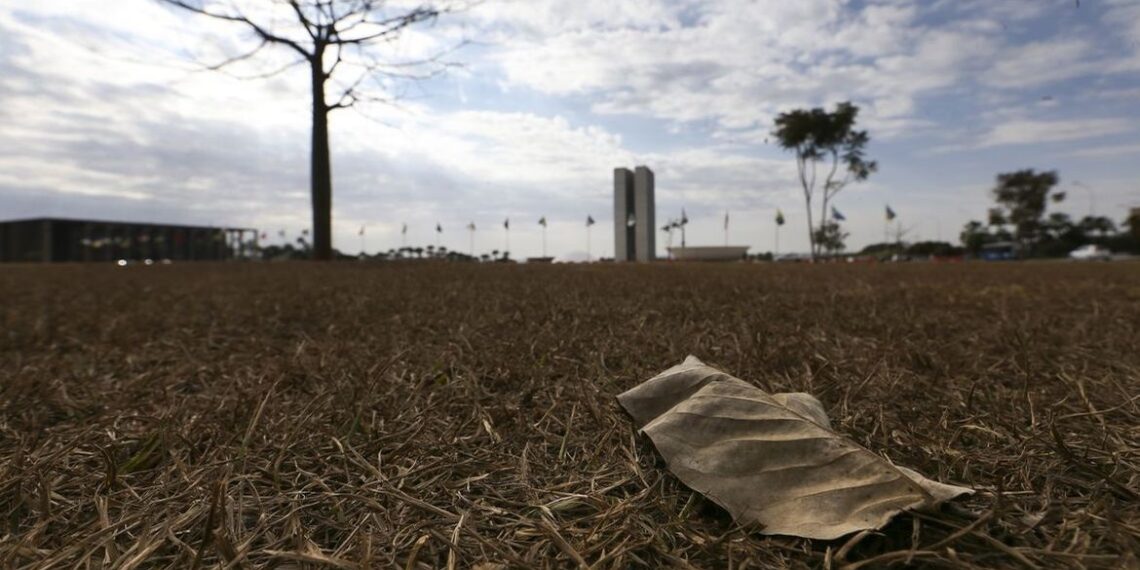 Foto: Marcelo Camargo / Agência Brasil