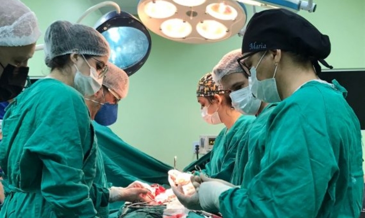 Rondônia é destaque em doação de órgãos e realiza ações de sensibilização no Setembro Verde