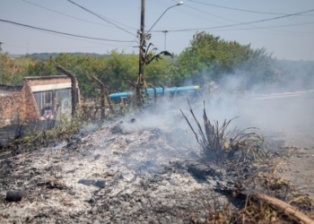 Porto Velho se destaca em ações ambientais que melhoram gestão e o bem estar da população