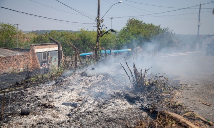 Porto Velho se destaca em ações ambientais que melhoram gestão e o bem estar da população