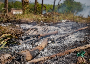 Porto Velho reduz queimadas em 85% e intensifica fiscalizações contra crimes ambientais