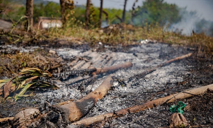 Porto Velho reduz queimadas em 85% e intensifica fiscalizações contra crimes ambientais