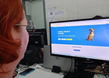 Porto Velho amplia ações e investimentos na causa animal com leis e campanha recorde