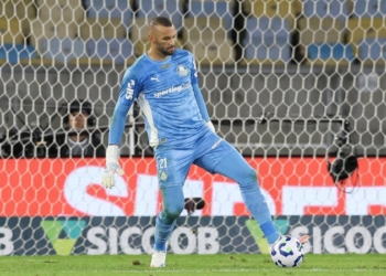 Palmeiras-Foto-Cesar-Greco-Palmeiras