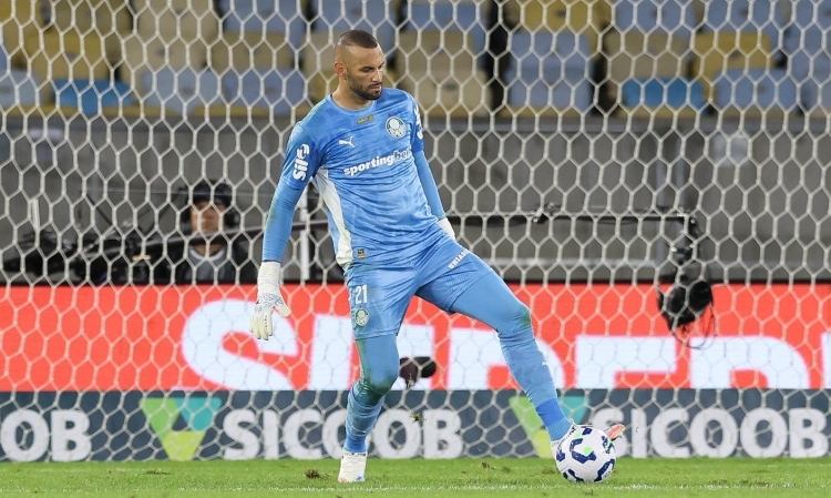 Palmeiras-Foto-Cesar-Greco-Palmeiras