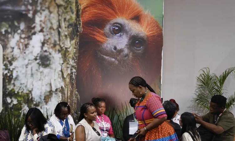 COP30-2-Foto-Tânia-Rêgo-Agência-Brasil
