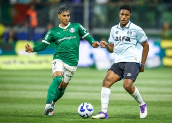 Grêmio-x-Palmeiras-2-Foto-Lucas-Uebel-Grêmio-FBPA