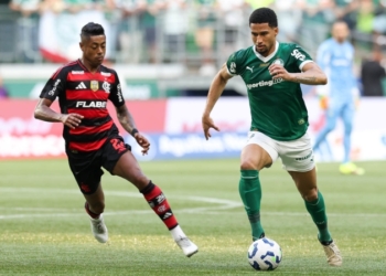 Palmeiras-x-Flamengo-3-Foto-Cesar-Greco-Palmeiras