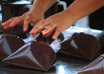 Foto: Ésio Mendes / Secom