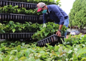 Foto: Irene Mendes / Secom