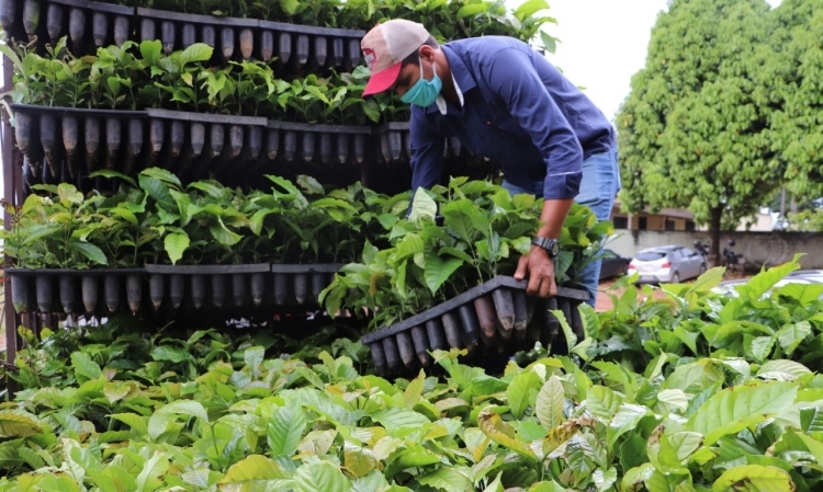 Foto: Irene Mendes / Secom