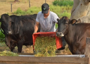 Foto: Irene Mendes / Secom