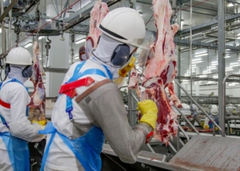 Foto: Frank Néry / Secom