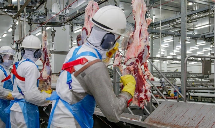 Foto: Frank Néry / Secom