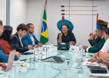Rondônia participa de reuniões em Brasília sobre políticas públicas indígenas
