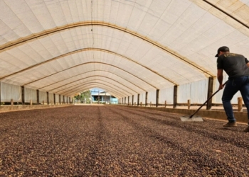 Foto: Enrique Alves / Secom