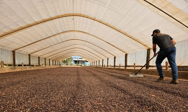 Foto: Enrique Alves / Secom