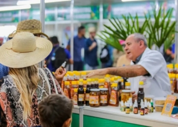 Foto: Daiane Mendonça / Secom