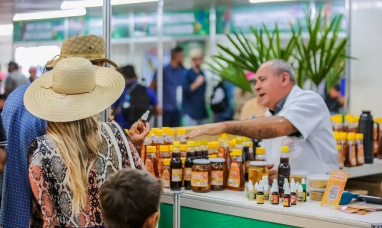 Foto: Daiane Mendonça / Secom