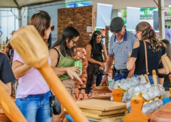 Foto: Daiane Mendonça / Secom