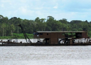 Foto: Ibama