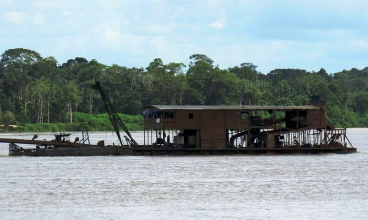 Foto: Ibama