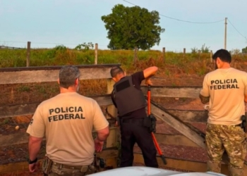 Foto: Divulgação / Polícia Federal